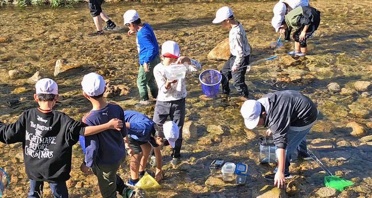 小学生の自然体験学習「芦屋川たんけん」