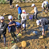 小学生の自然体験学習「芦屋川たんけん」