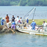 海岸の環境を守る活動で国交大臣から表彰