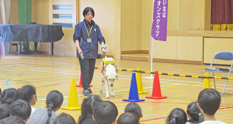 盲導犬への理解深める学校訪問授業