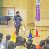 盲導犬への理解深める学校訪問授業